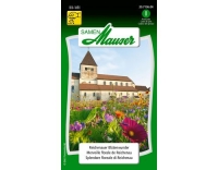 Samen Mauser Reichenauer Bl&uuml;tenwunder