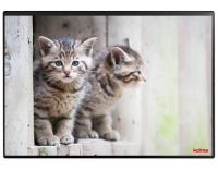 Kolma Schreibunterlage Undercover Poster