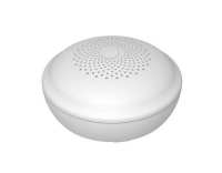 Mentrex Funk-Wassermelder