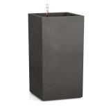 Lechuza Canto Color High 40