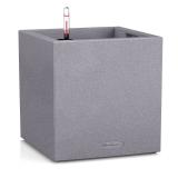 Lechuza Canto Color Low 40