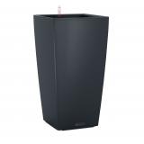 Lechuza Cubico Color 22