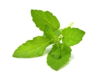 Click and Grow Smart Garden plant pod