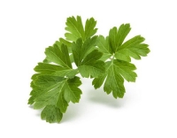 Click and Grow Smart Garden Plant Pod