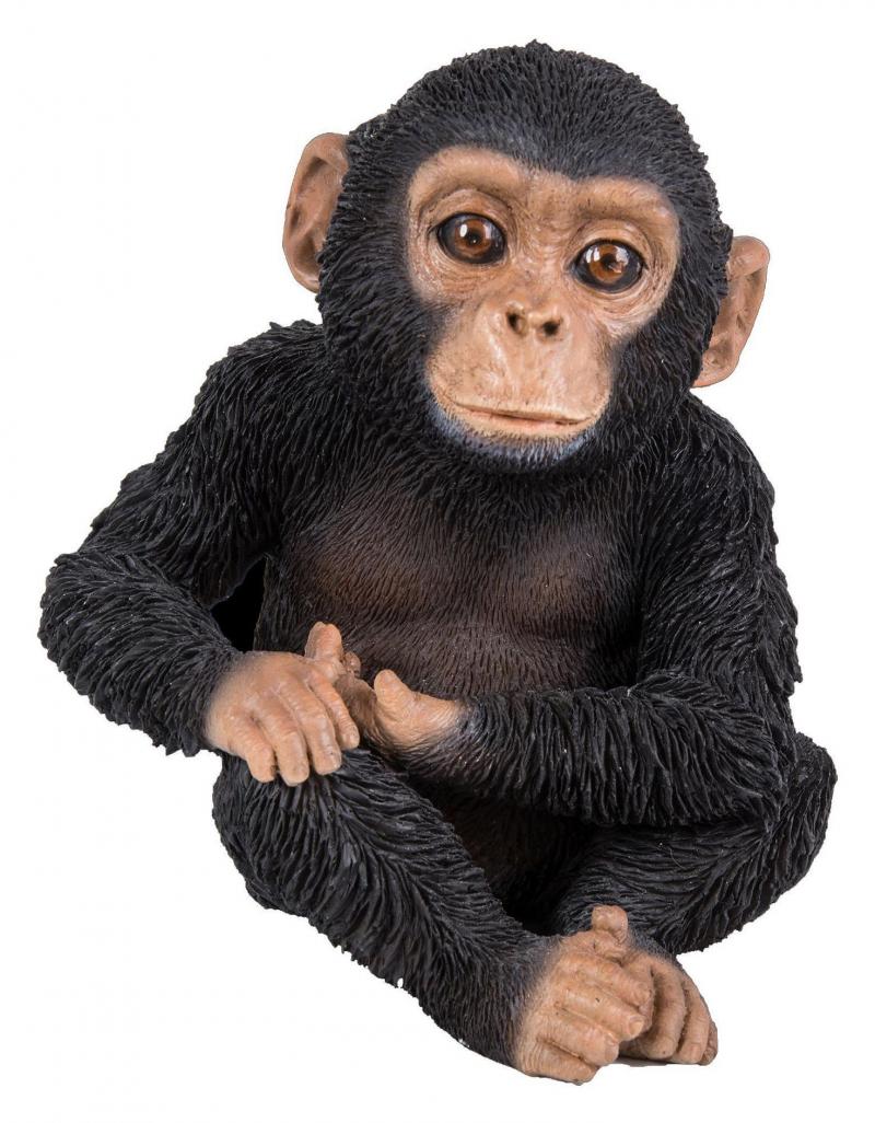 Vivid Arts Baby Schimpanse, sitzend