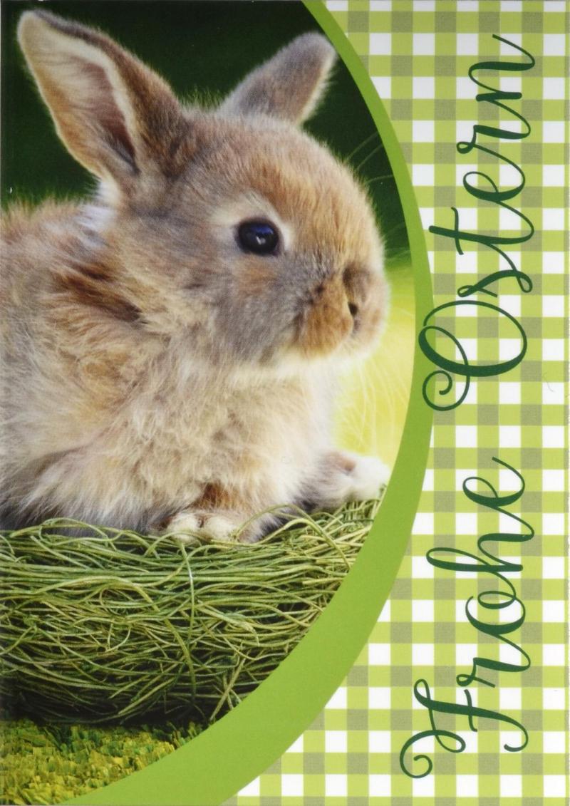 ABC Glückwunschkarte Frohe Ostern