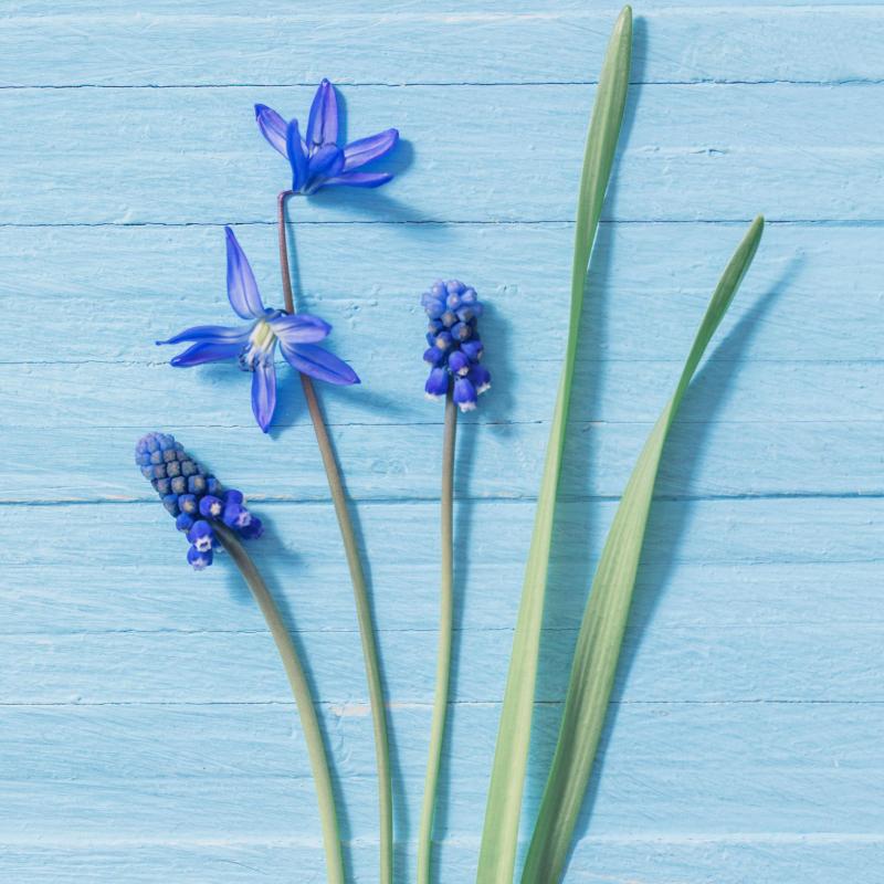 Paper + Design Servietten Blue Flowers