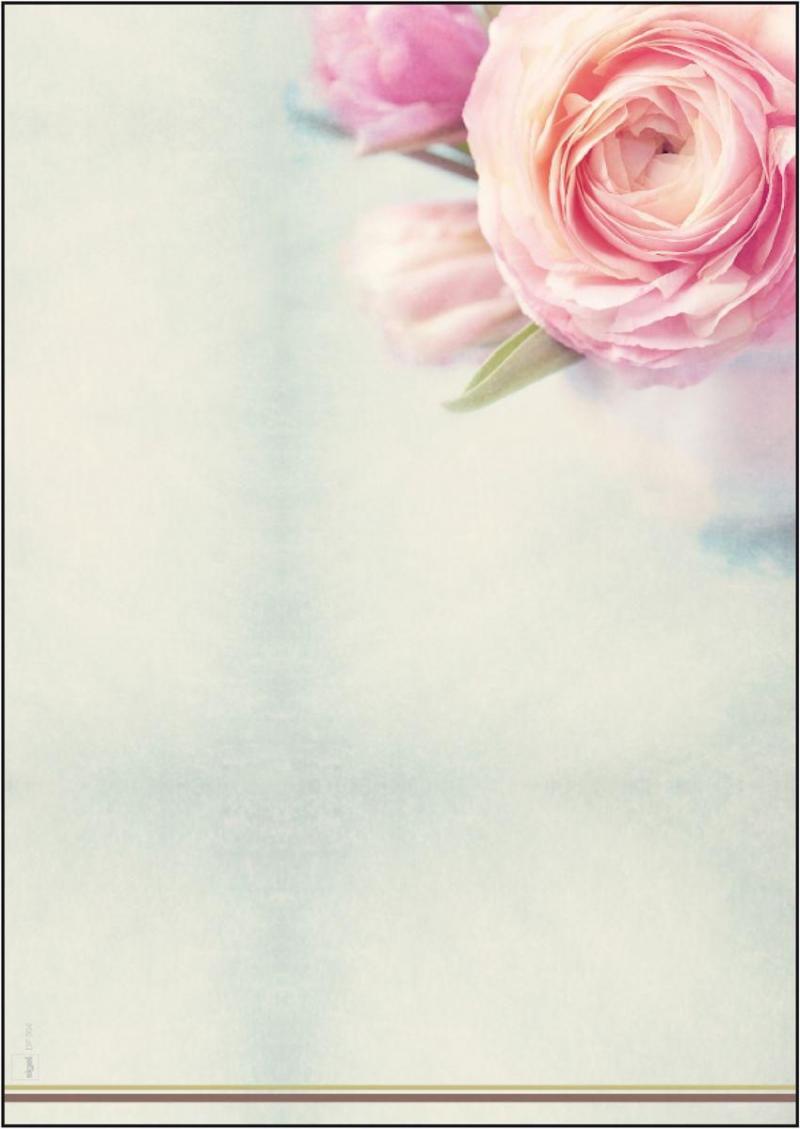 Sigel Motiv-Papier, Rose Garden A4