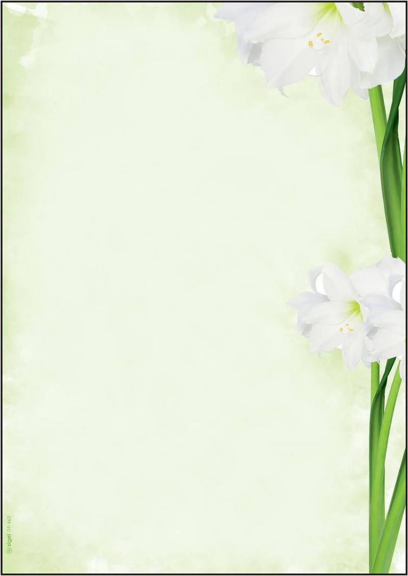 Sigel Motiv-Papier Green Flower A4