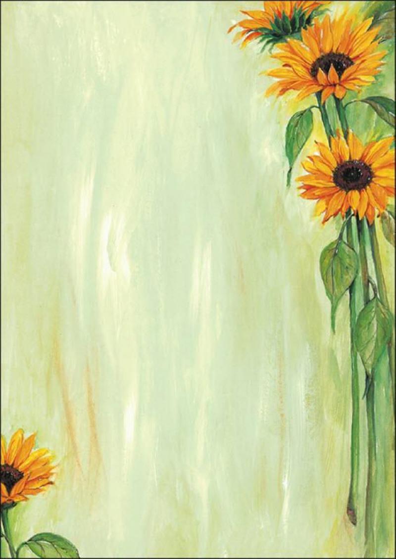 Sigel Motiv-Papier Sunflower A4