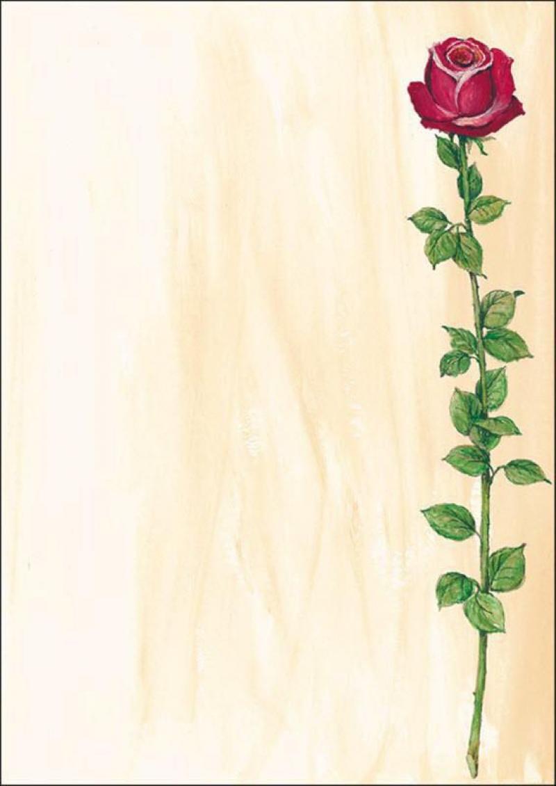 Sigel Motiv-Papier Rose Bloom A4