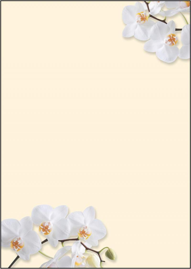 Sigel Motiv-Papier White Orchid A4
