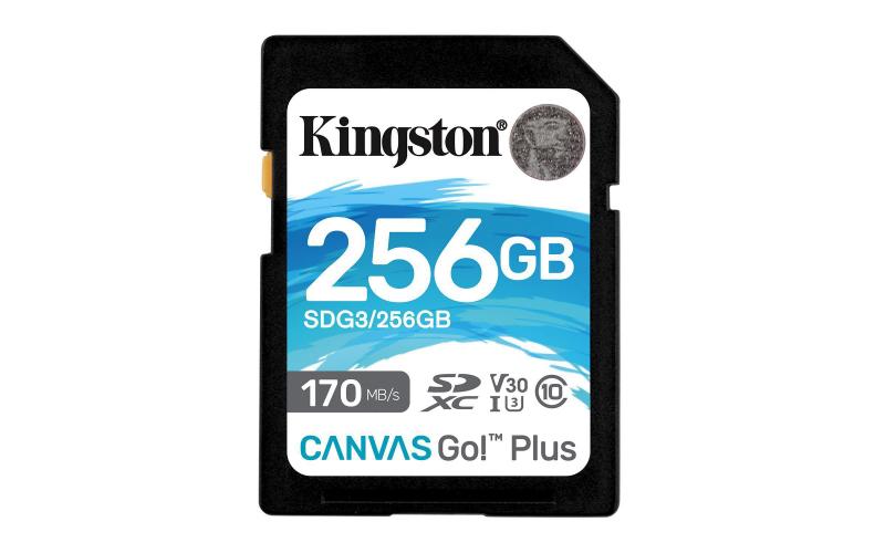 Canvas Go! Plus SDXC Card 256GB