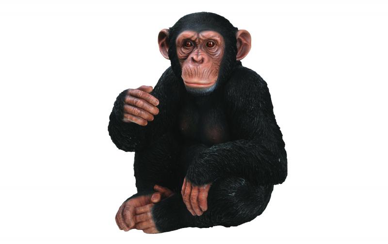 Vivid Arts Schimpanse sitzend, Polyresin
