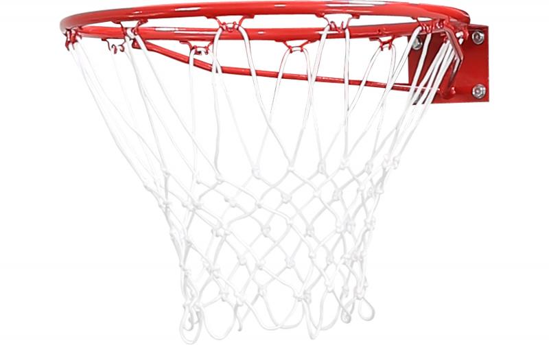 Pure2Improve Basketball Ring mit Netz