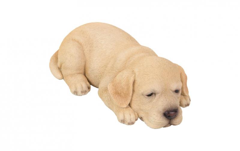 Vivid Arts Golden Labrador Welpe, schlafend