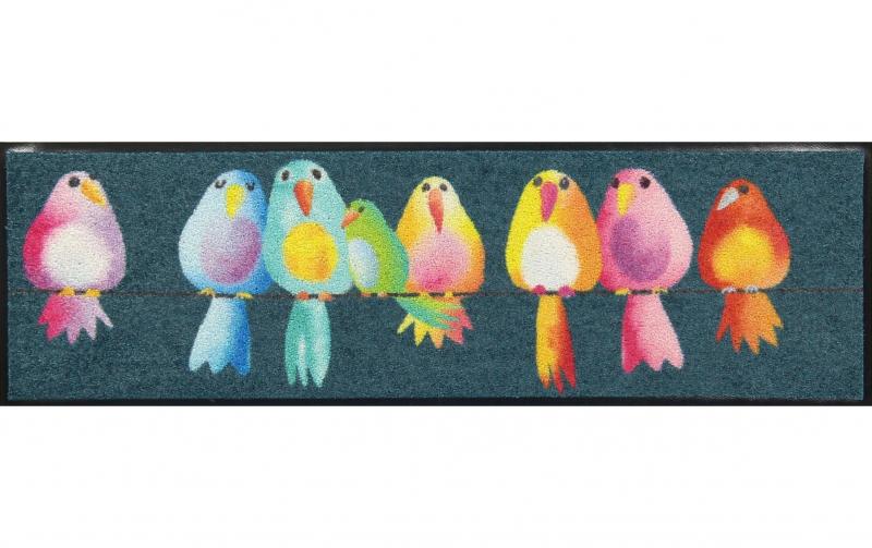 Salonlöwe Rainbow Birds Fussmatte Schuh-