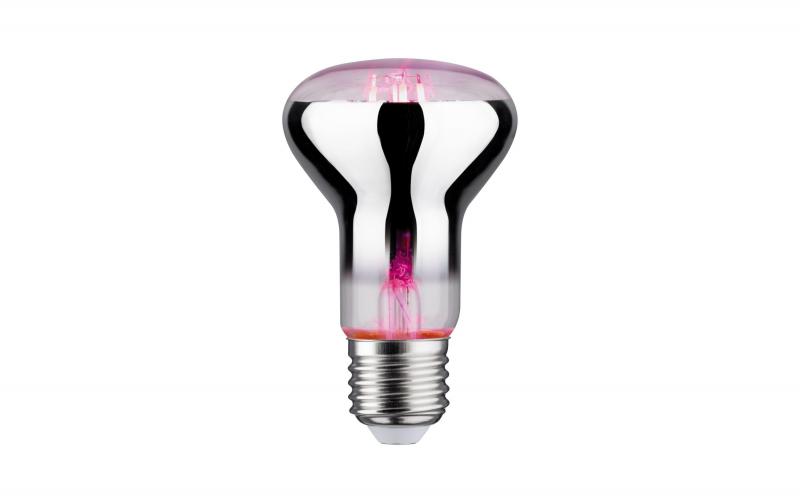 Paulmann Leuchtmittel LED PLANT E27 R63