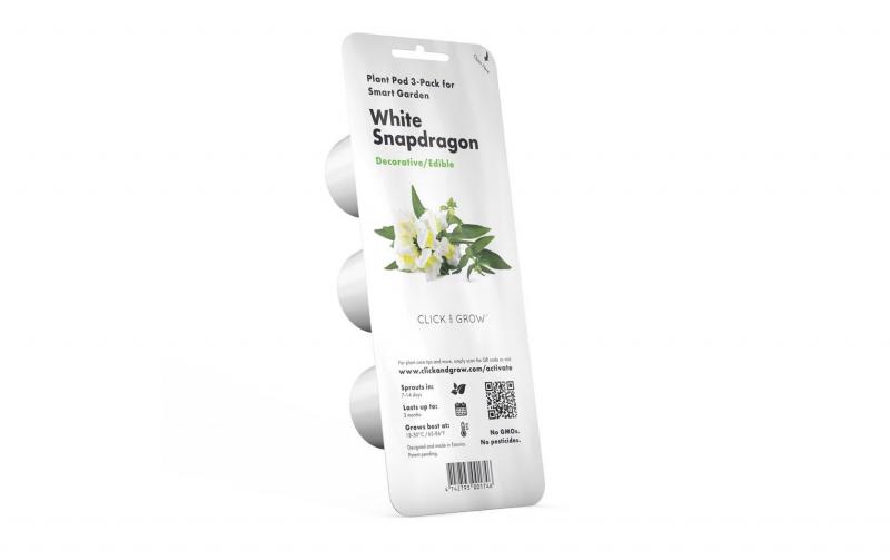 Click and Grow White Snapdragon