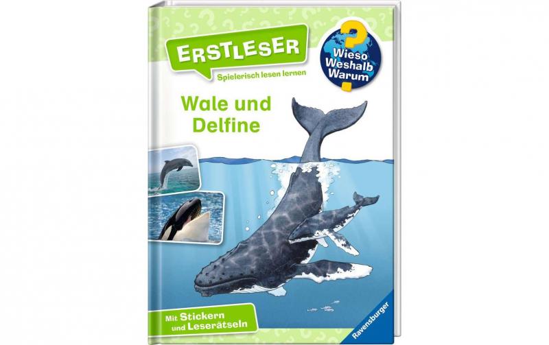 WWW Erstleser3 Wale und Delfine