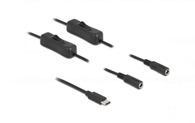 Delock USB-C Stecker zu 2x DC 5.5x2.1mm,1m