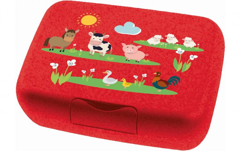 Koziol Lunchbox CANDY L FARM