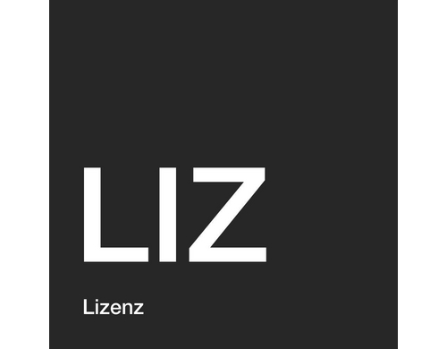 MS Liz Project OpenValue 1TZ