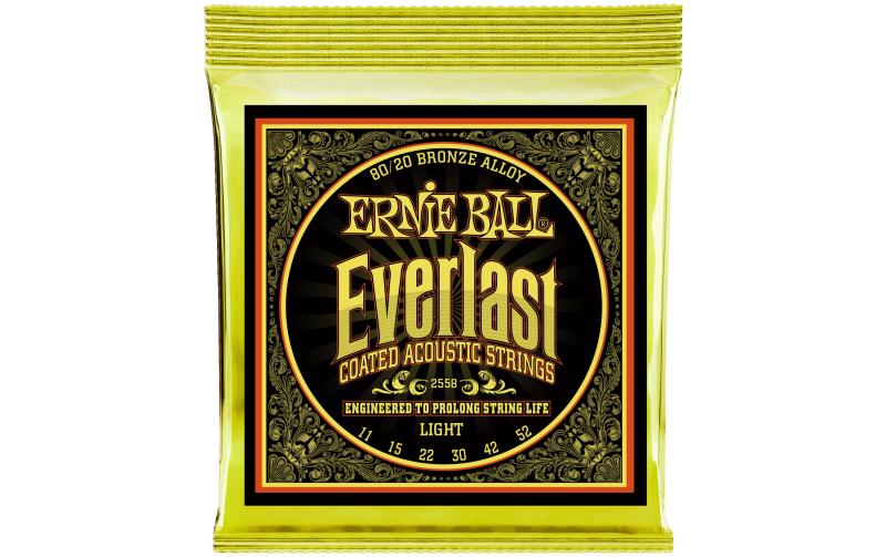 Ernie Ball 2558 Everlast Bronze
