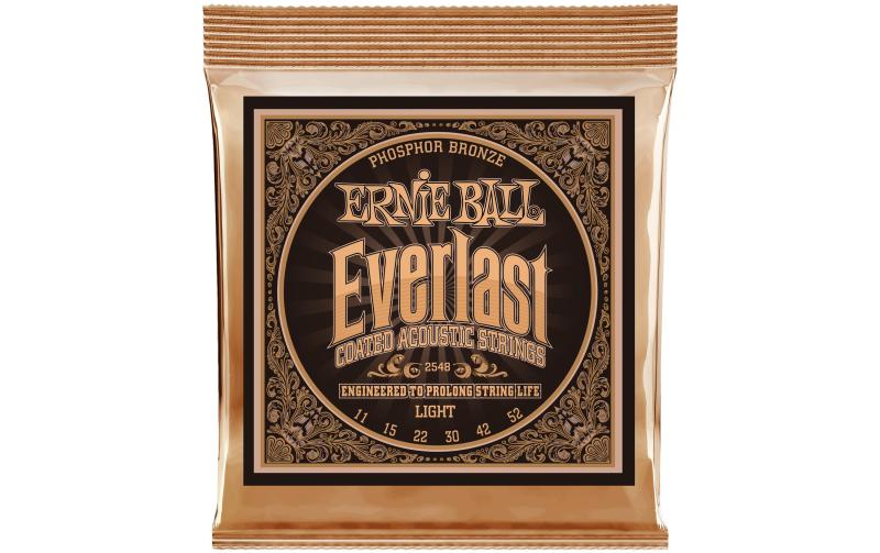 Ernie Ball 2548 Everlast Phosphor Bronze