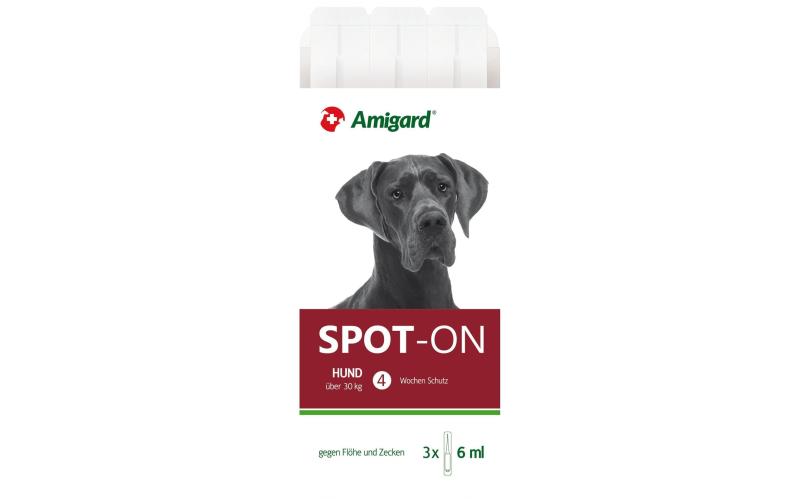 Amigard Spot-on Hund >30kg, 3x6ml