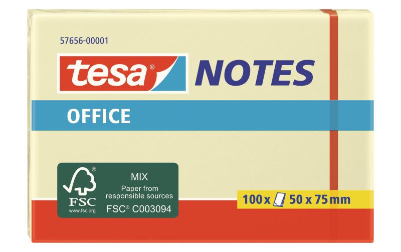 Tesa Office Notes