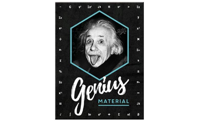 Nostalgic Art Magnet Einstein