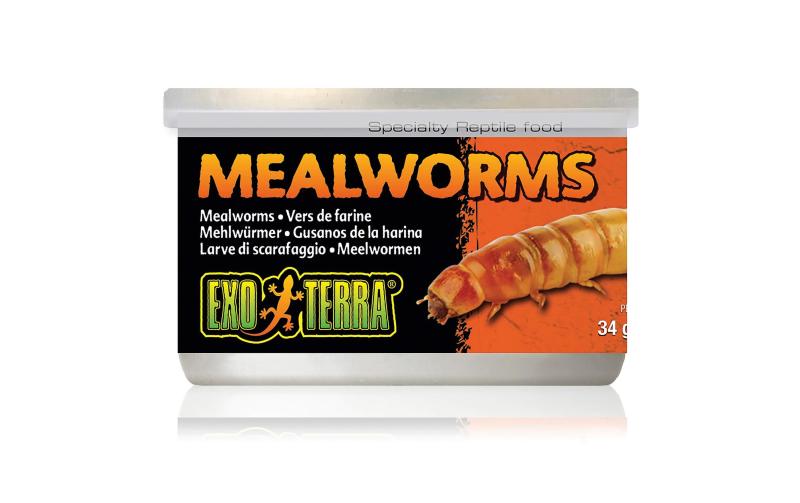 Exo Terra Mealworms