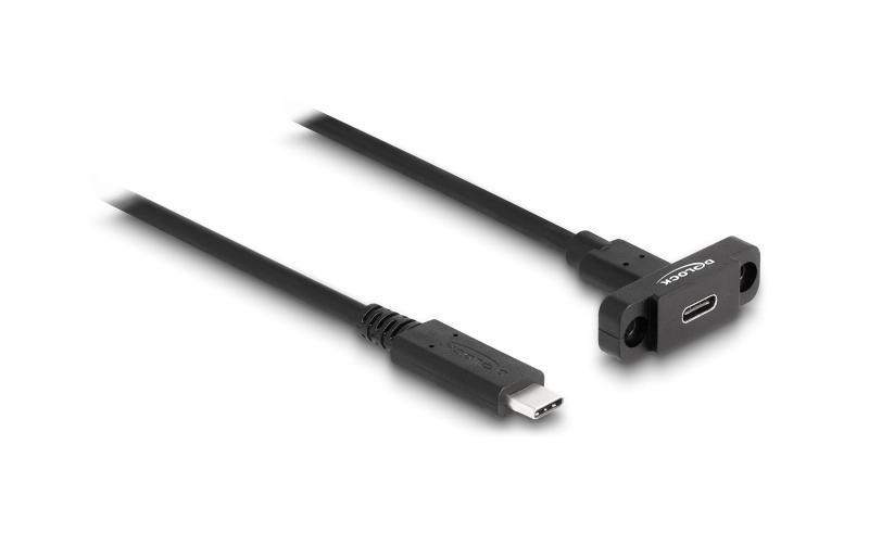 Delock USB3.2 Gen 2 Kabel Typ-C 1m
