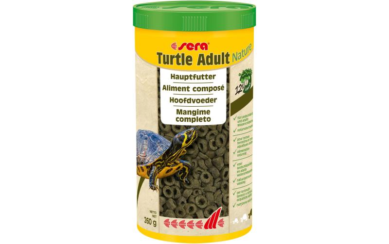 sera Turtle Adult Nature