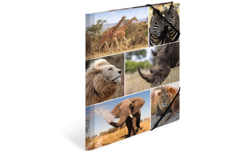 Herma Sammelmappe A4 Animals Afrika