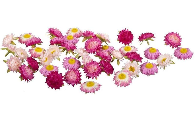 Dekomat Strohblüten, Rosa-Pink, 36 Stück