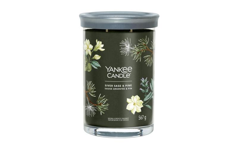 Yankee Candle Silver Sage & Pine