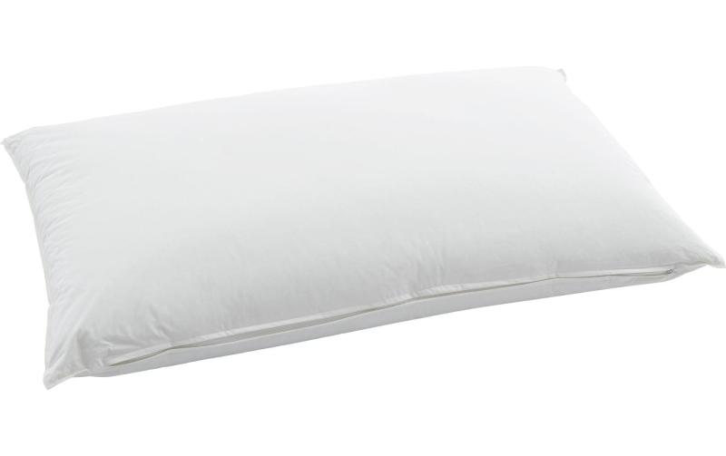 Swiss Dream Nature Pillow Basic 90 65x100cm