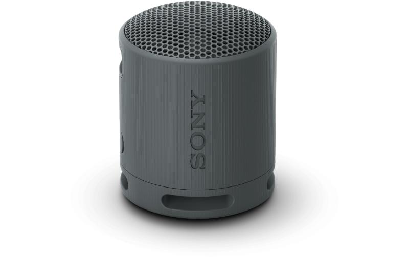Sony SRS-XB100, Kabelloser Lautsprecher