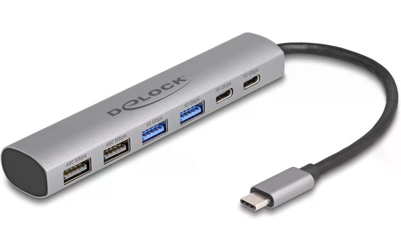 Delock USB 6 Port Hub