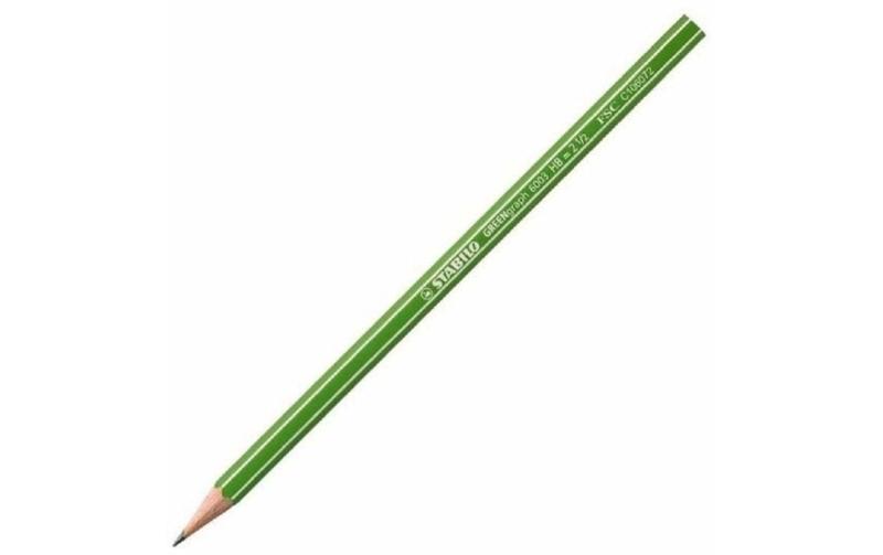 Stabilo Bleistift Greengraph FSC 12 Stück