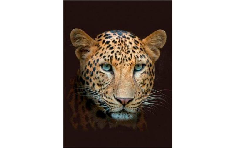 Hubatka Decke Leopard, 150x200cm