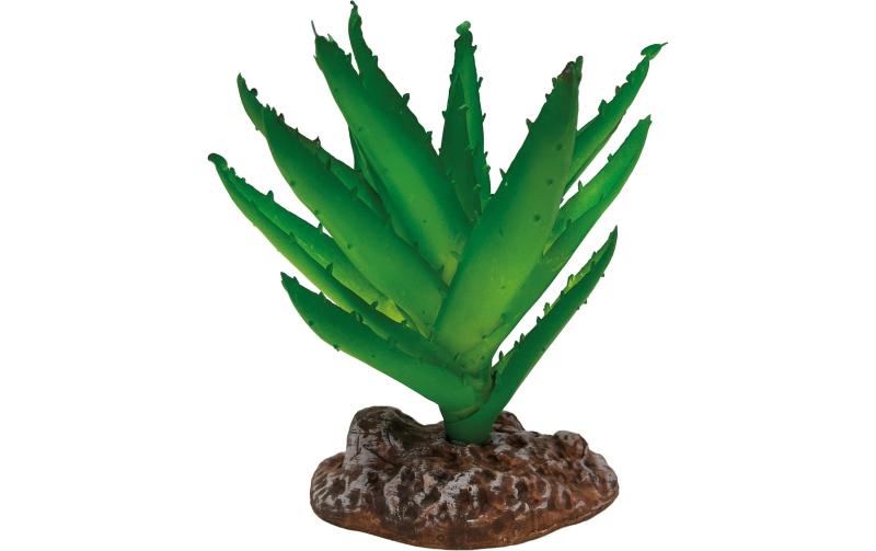 Repto Deco Plant Aloe Vera