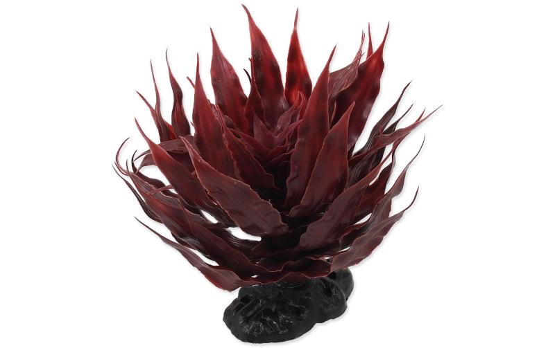 Repti Planet Sukulent Agave red 18cm