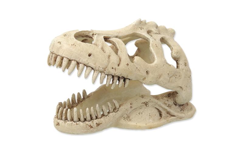 Repti Planet Dekoschädel T-Rex