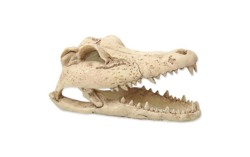 Repti Planet Dekoschädel Krokodil