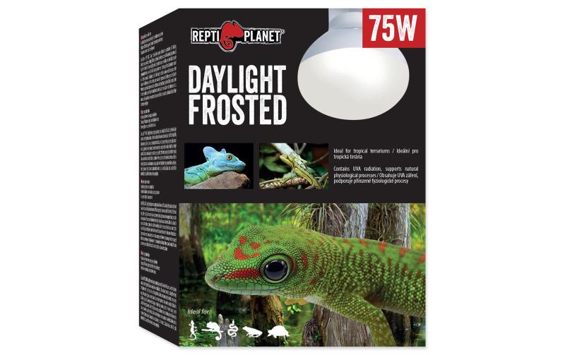 Repti Planet Daylight Frosted 75W