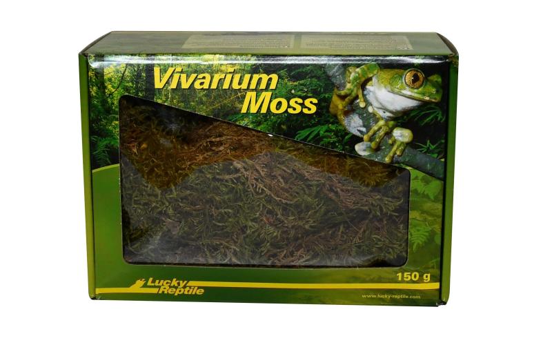 Lucky Reptile Vivarium Moss