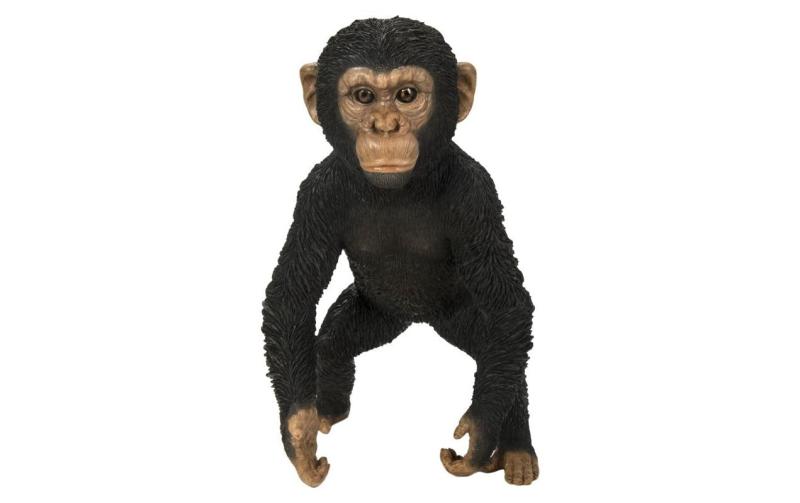 Vivid Arts Schimpansenbaby stehend